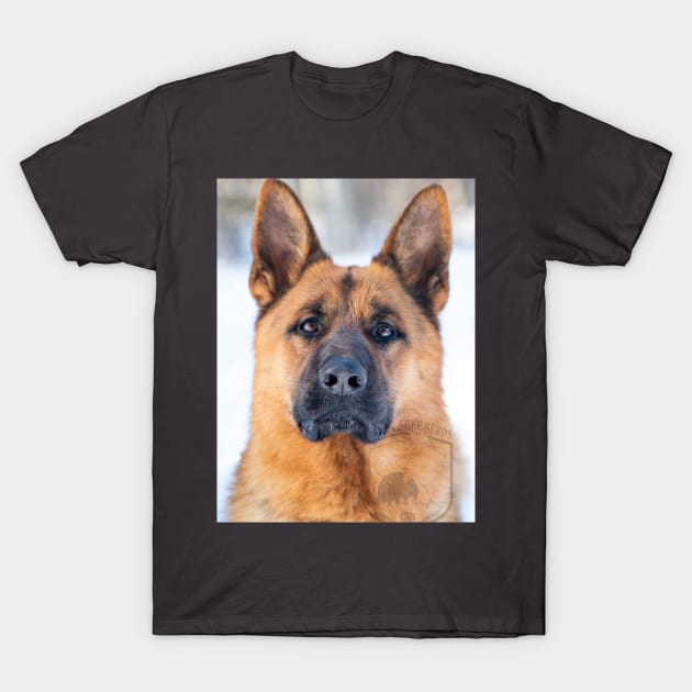 Parcour!  German Shepherd Dog T-Shirt by Kazenas Art